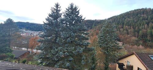 Foto - 2 Zimmer Etagenwohnung in Bad Liebenzell