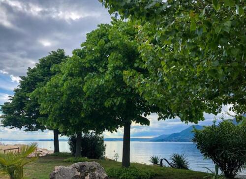 Foto - andere zur Miete in München