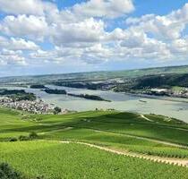 Moderne 3-Zimmer-Wohnung mit Terrasse am Waldrand zu vermieten - Rüdesheim am Rhein