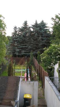 Foto - 