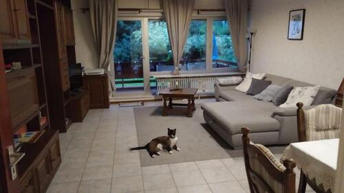 Foto - Erdgeschosswohnung, 3 ZKB, Stellplatz