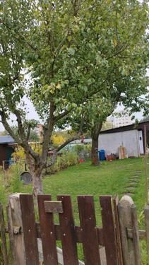 Foto - Grundst&uuml;ck zur Miete in Chemnitz