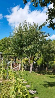 Foto - Grundst&uuml;ck in Chemnitz zur Miete