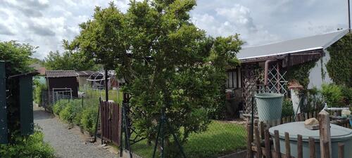 Foto - Grundstück in Neusalza-Spremberg zur Miete