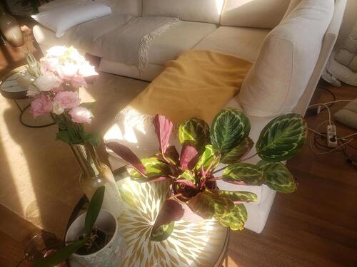 Foto - 3 Zimmer Etagenwohnung zur Miete in Berlin