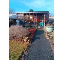 Garten abzugeben - 1.000,00&nbsp;EUR Kaltmiete, ca.&nbsp; 0,00&nbsp;m&sup2; in Delitzsch (PLZ: 04509)