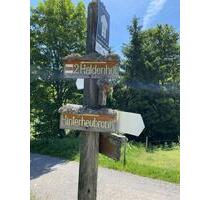 Lukratives Anlageobjekt: Hotel und Berggasthof „Haldenhof“ in 79692 Kleines Wiesental