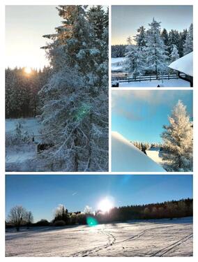 Foto - andere zur Miete in Neuhaus am Rennweg