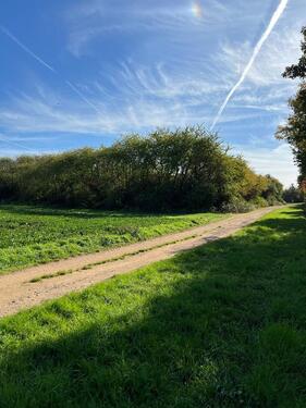 Foto - Riesiges Freizeitgrundstück in FFM-Preungesheim zu verpachten