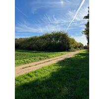 Riesiges Freizeitgrundstück in FFM-Preungesheim zu verpachten - Frankfurt am Main Nord-Ost