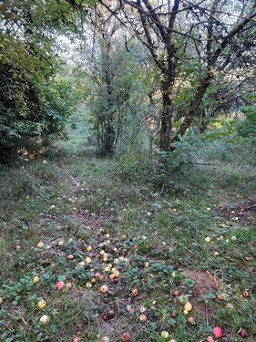 Foto - Grundst&uuml;ck zur Miete in Frankfurt am Main