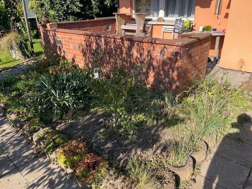 Foto - Grundstück zur Miete in Bad Doberan