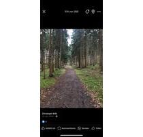 Zimmer zu vermiten - 500,00&nbsp;EUR Kaltmiete, ca.&nbsp; 20,00&nbsp;m&sup2; in Hamburg (PLZ: 20535) Borgfelde