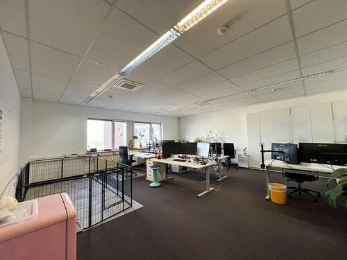 Foto - andere in Niedernberg zur Miete