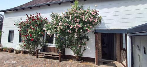 Foto - Einfamilienhaus zum Kaufen in Braunschweig