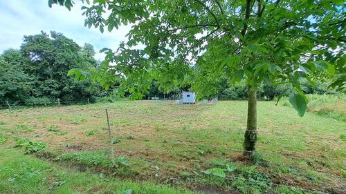 Foto - WeideGrundstück zur Tierhaltung in Wiesbaden-Biebrich („Gibb“)