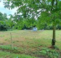 WeideGrundstück zur Tierhaltung in Wiesbaden-Biebrich („Gibb“)