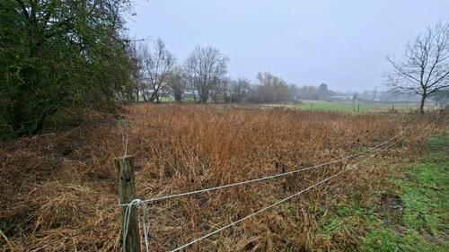 Foto - Grundst&uuml;ck in Wiesbaden