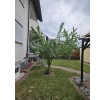 3 Zimmer Wohnung mit Garten in Erlenbach am Main - Wörth am Main
