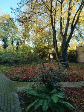 Foto - 20 Zimmer Mehrfamilienhaus, Wohnhaus in Duisburg