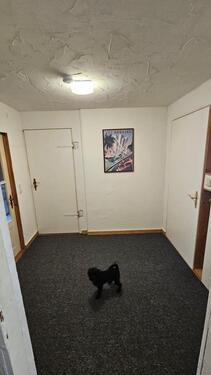 Foto - Etagenwohnung in Minden zur Miete