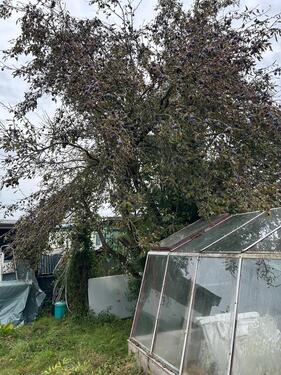 Foto - Grundstück in Schwerin