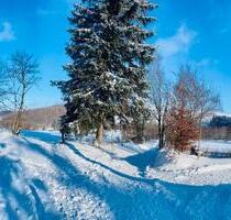 Gemütliches Ferienhäuschen im Erz. nahe Dresden - Berlin