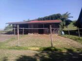 Foto - 