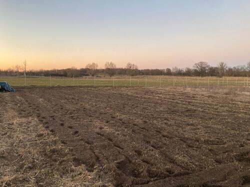 Foto - Garten Acker Gemüse Parzelle Potsdam