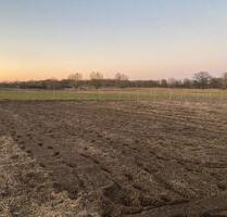 Garten Acker Gemüse Parzelle Potsdam