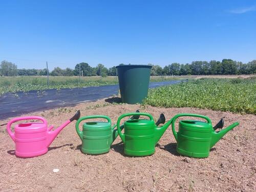 Foto - Grundst&uuml;ck in Potsdam