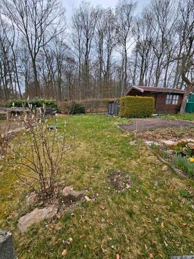 Foto - Grundst&uuml;ck in Hohenstein-Ernstthal zur Miete