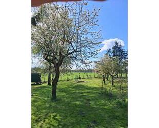 Doppelhaushälfte im Grünen - 228.000,00&nbsp;EUR Kaufpreis, ca.&nbsp; 150,00&nbsp;m&sup2; in Dorf Mecklenburg (PLZ: 23972)