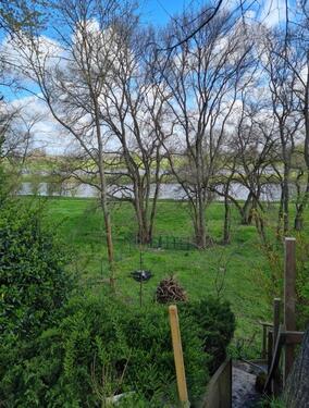 Foto - Einfamilienhaus in Torgau zum Kaufen