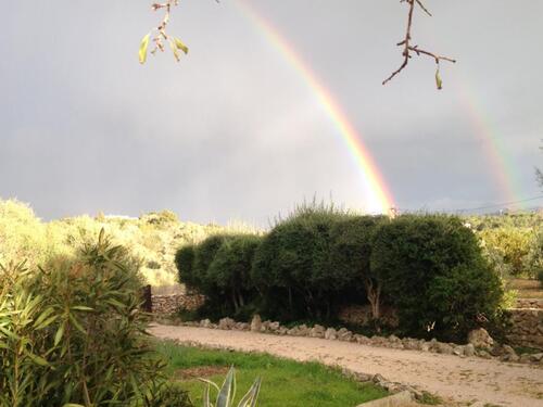 Foto - andere in Springe