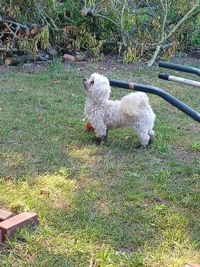 Foto - Grundst&uuml;ck in Brandenburg an der Havel