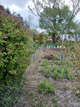 Foto - Grundst&uuml;ck in Brandenburg an der Havel zur Miete