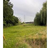 Hochwertige Sanierte Wohnung in ehem. Kuhstall - Kempen