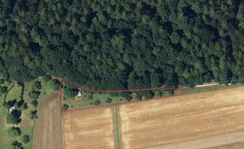 Foto - Freizeitgrundstück mit Holzhütte, Obstbäumen, Gemüsebeet, Natur..