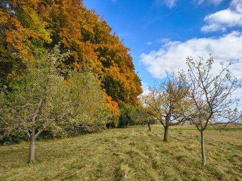Foto - Grundst&uuml;ck in Schorndorf zum Kaufen