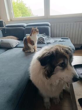 Foto - andere zur Miete in Castrop-Rauxel