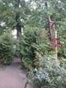 Foto - andere zur Miete in Nienburg (Weser)