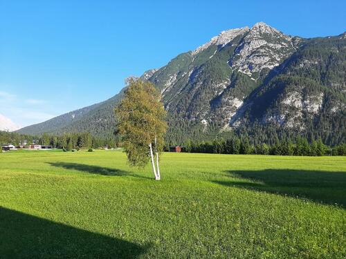 Foto - andere in Mittenwald zur Miete