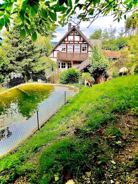 Foto - ✨Ferienwohnung im schönen Sauerland in der Nähe von Winterberg✨
