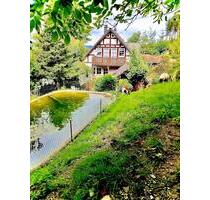 ✨Ferienwohnung im schönen Sauerland in der Nähe von Winterberg✨ - Bestwig