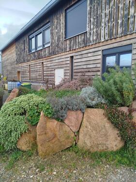 Foto - andere zur Miete in Hamm am Rhein