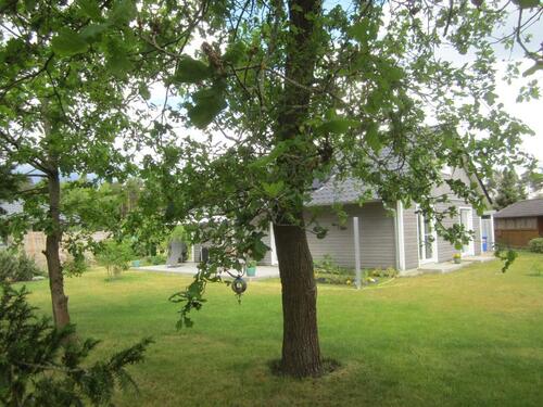 Foto - 3 Zimmer Einfamilienhaus in Gorleben