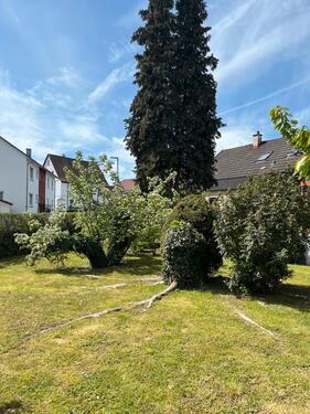Foto - Einfamilienhaus in Sachsenheim zum Kaufen