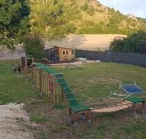 Stellplatz, Freizeitgrundstück, Schrebergarten, Holzlagerplatz - Dollnstein