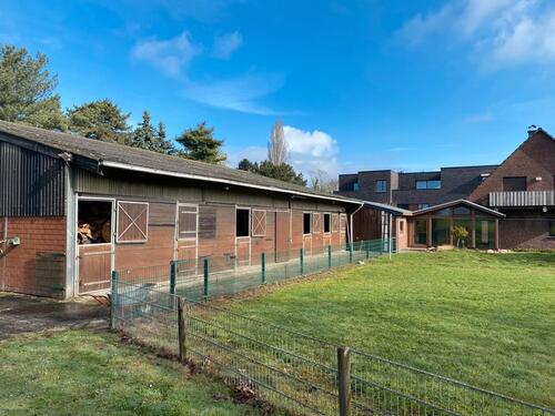 Foto - Reiterhof Pferdehof Reitanlage.